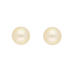 Dadhichi Gold Earrings