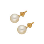 Dadhichi Gold Earrings