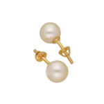 Dadhichi Gold Earrings