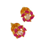 Beautiful Stone Earrings