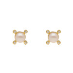 Exquisite Stud 925 Silver Earrings