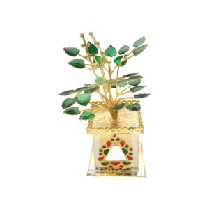 34 Grams Golden Tulsi Plant