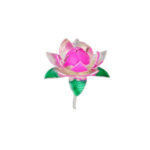 Lotus Design Flowers