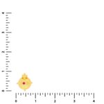 22KT Laghupuspa Style Traditional Gold Pendants