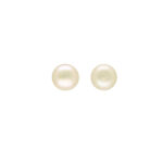 Luxe 925 Silver Stud Earrings