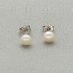 Luxe 925 Silver Stud Earrings