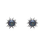 Harini 925 Silver Stud Earrings