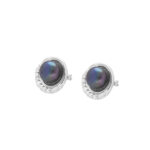 Sumptuous Silver 925 Stud Earrings