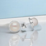 Magnificent Stud 925 Silver Earrings