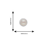 Magnificent Stud 925 Silver Earrings