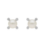 Splendid 925 Silver Stud Earrings