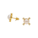 Exquisite Stud 925 Silver Earrings