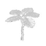 2 Grams Silver Leave Flower Silver with twisted string