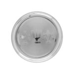 163 Grams Silver Shanku Chakra Namam Plate