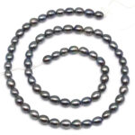 AAA Freshwater Pearl 5-6 MM Black Oval Luster Pearl String