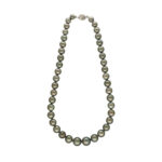 Coral Majesty Southsea Saltwater Pearl Necklace