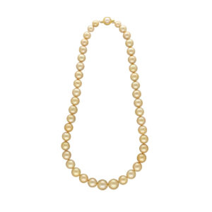 Coastal Elegance Golden Southsea Pearl Necklace