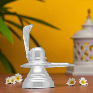 Shivling Silver Idol for Pooja